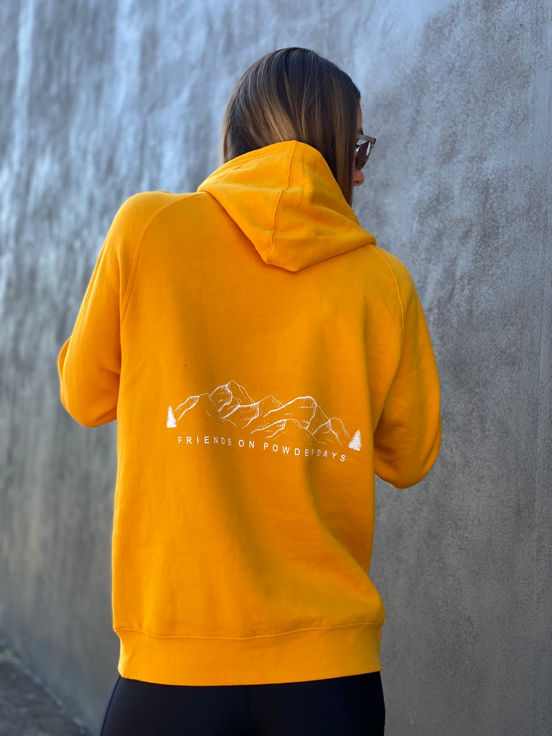 Ski/Snowboard Friends On Powder Days Mid Layer Snow Hoodie - Unisex